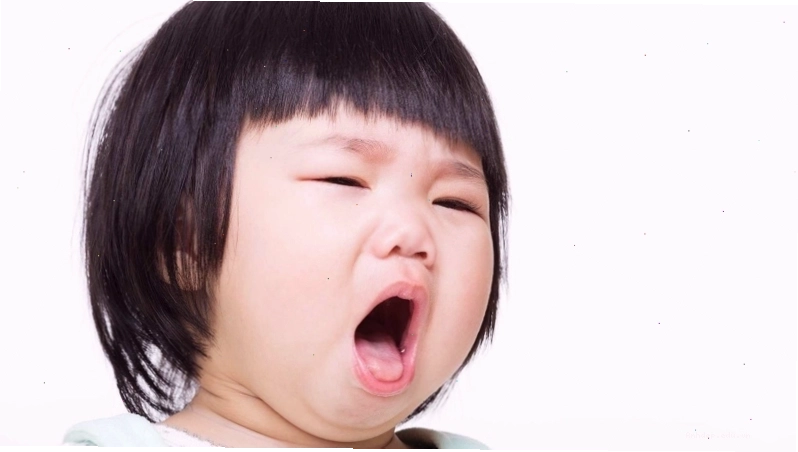 Cận cảnh củ bạc hà núi với nhiều công dụng tốt cho sức khỏe