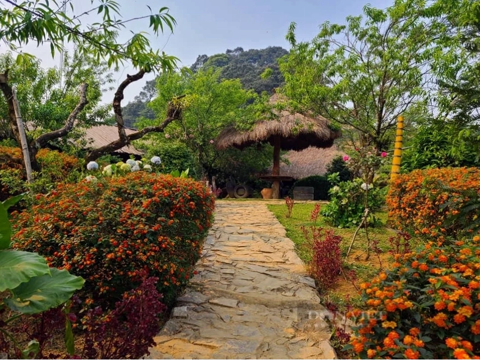 Cảnh bình minh tại homestay A Páo