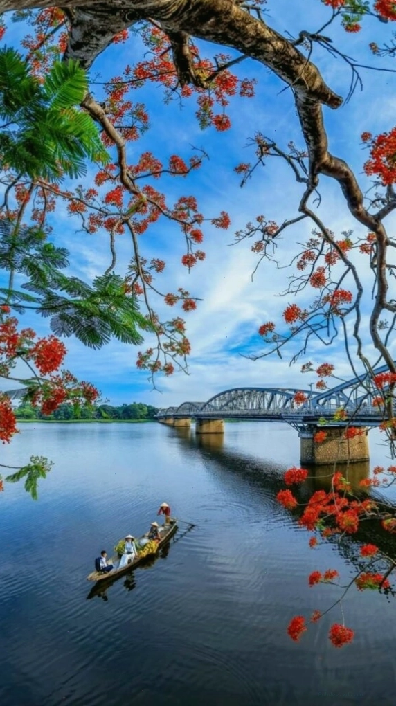 Cành hoa đỏ bên mặt hồ sông Hương tĩnh lặng tạo vẻ đẹp dịu dàng
