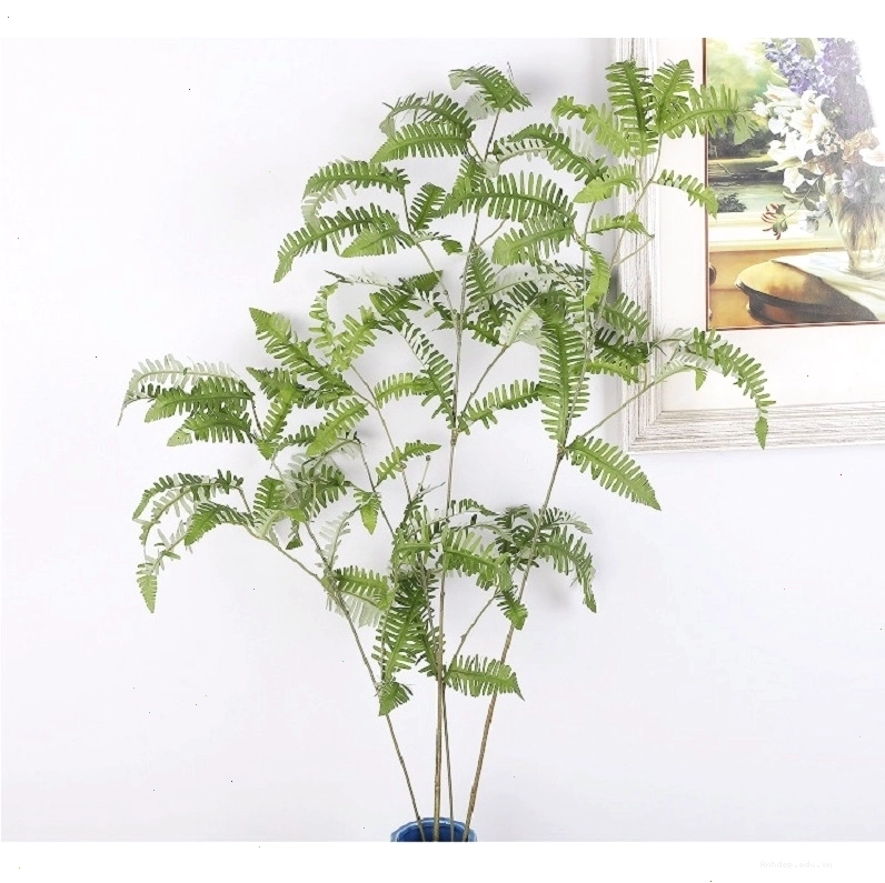 Cành lá dương xỉ giả dài, mang vẻ đẹp tự nhiên