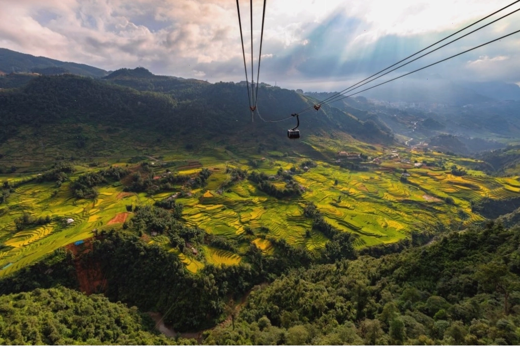 Cánh rừng nguyên sinh rậm rạp bao quanh núi Fansipan