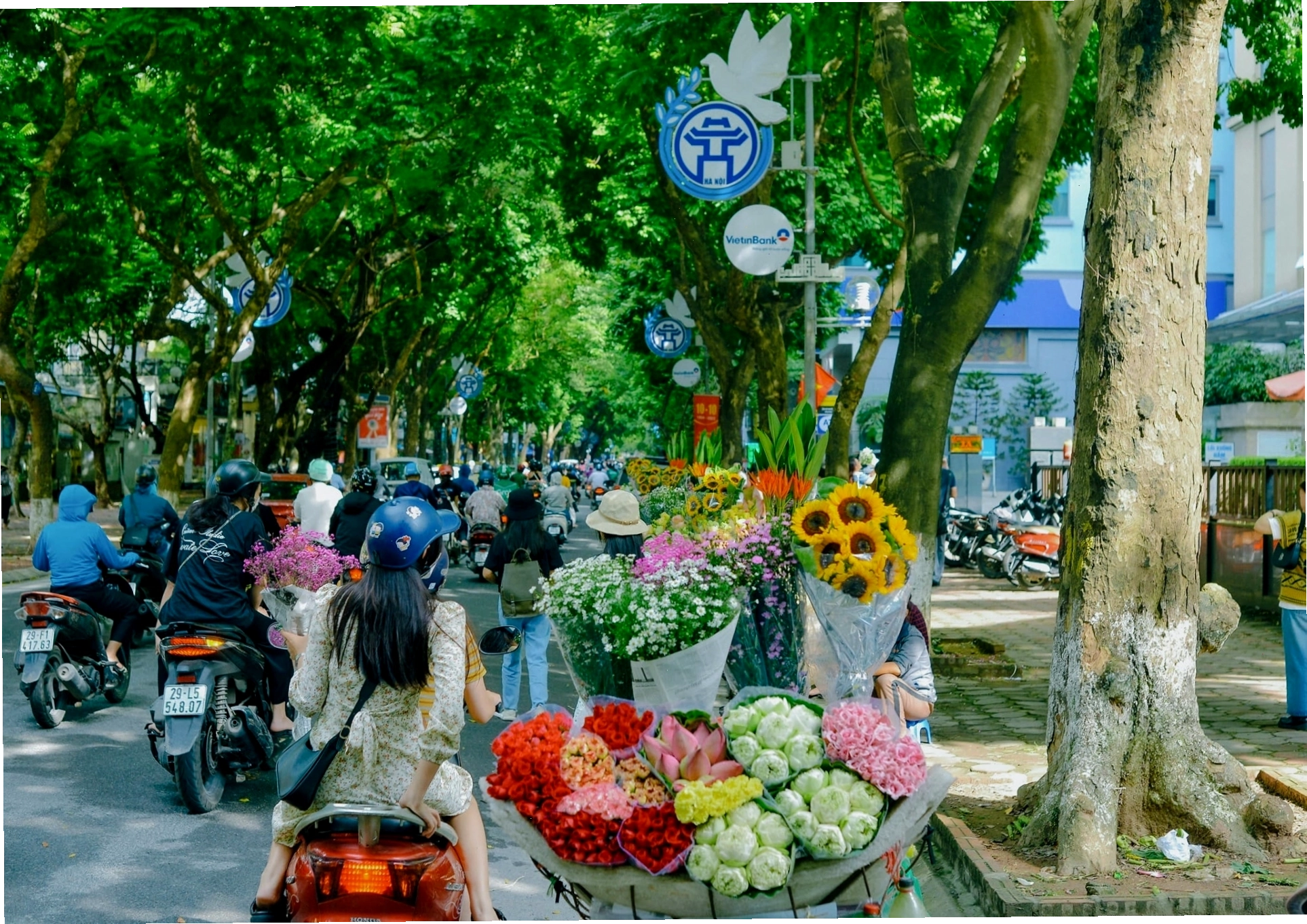 Cảnh sắc Hà Nội về đêm với gánh hoa