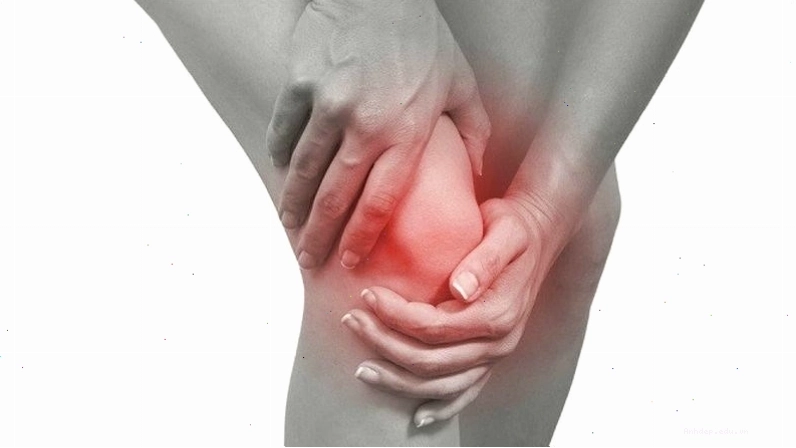 Cây sầu đâu có tác dụng giúp giảm đau, kháng viêm