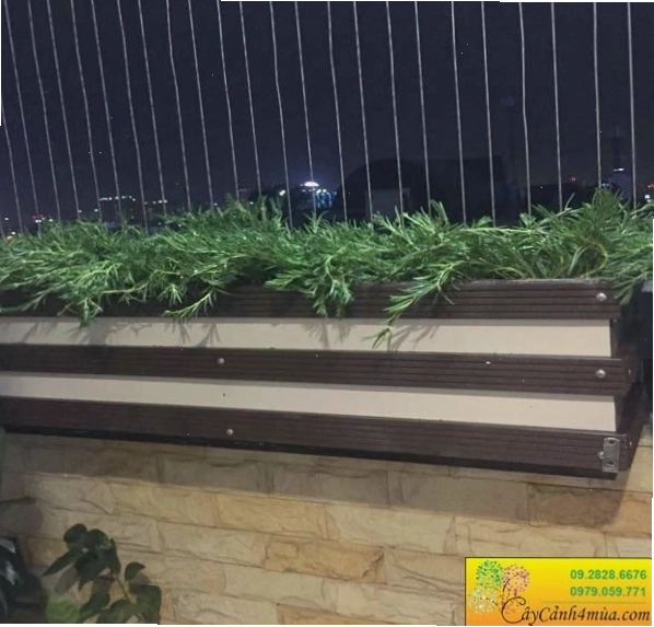 Chậu ban công làm từ gỗ nhựa composite, bền đẹp và thân thiện với môi trường