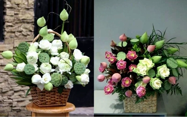 Chọn nụ hoa sen còn khép kín giúp hoa nở lâu và giữ vẻ đẹp trên bàn thờ.
