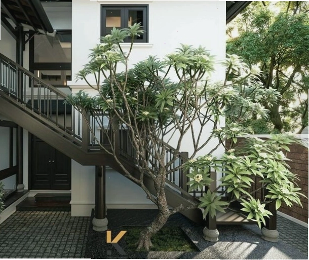 Chùm hoa đại đỏ đang nở rộ trên cành cây sum suê