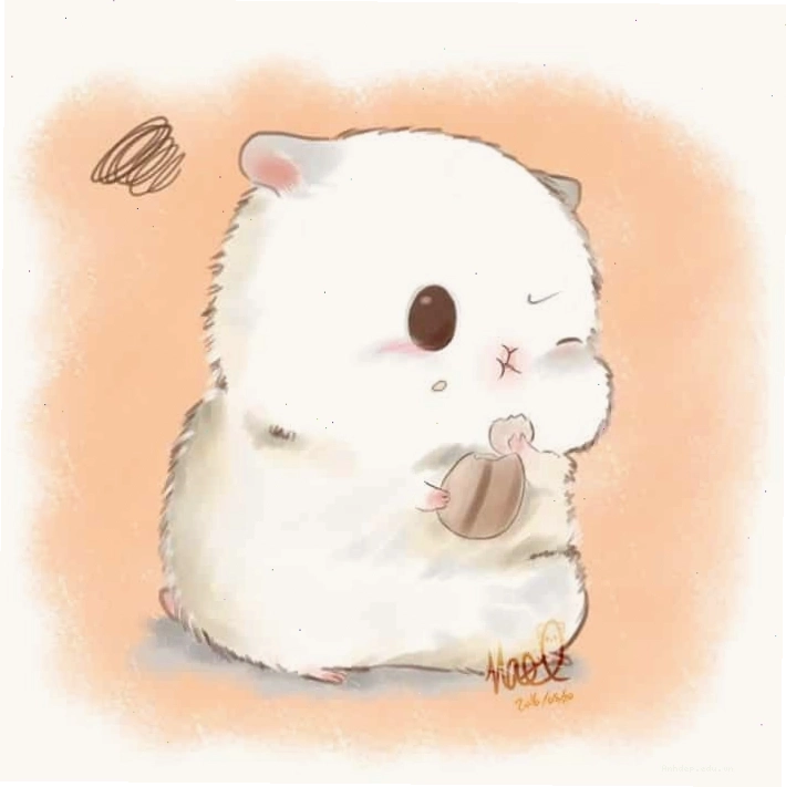 Chuột hamster chibi ngộ nghĩnh nhất với hành động đáng yêu