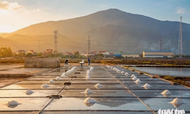 Diêm dân mưu sinh trên cánh đồng muối