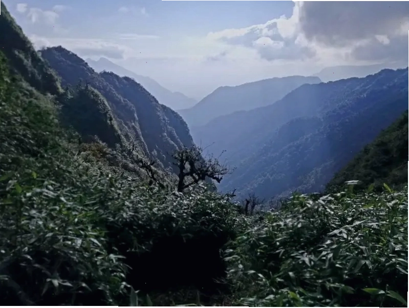 Đoạn đường trekking dốc đứng trên núi Ngũ Chỉ Sơn