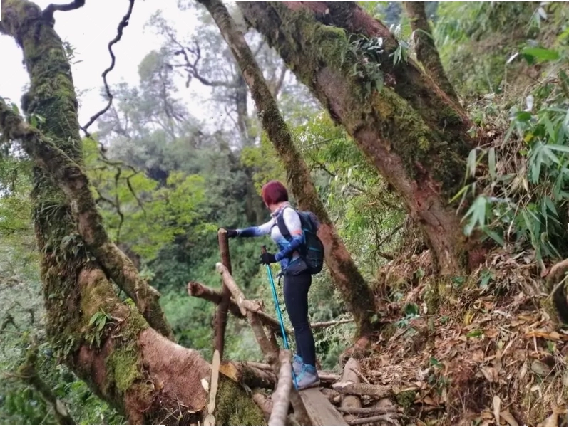 Đoàn người trekking tạo dáng trên đỉnh Ngũ Chỉ Sơn