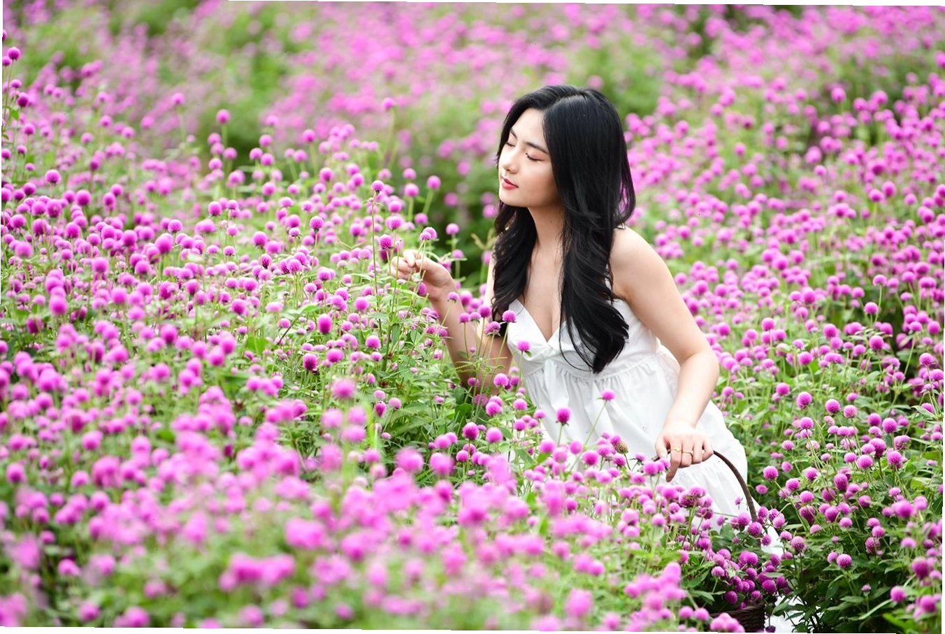 Du khách tạo dáng chụp ảnh giữa vườn hoa rực rỡ tại Làng hoa Nhật Tân