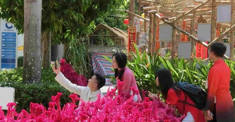 Đường Hoa Quận 7 2026: Khám phá vẻ đẹp Tết ấn tượng