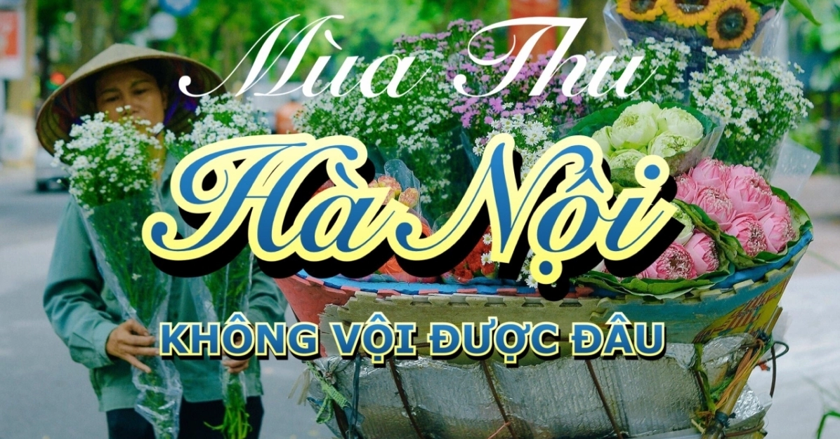 Gánh hoa Hà Nội: Nét đẹp mùa thu lan tỏa và cơ hội kinh doanh thức thời