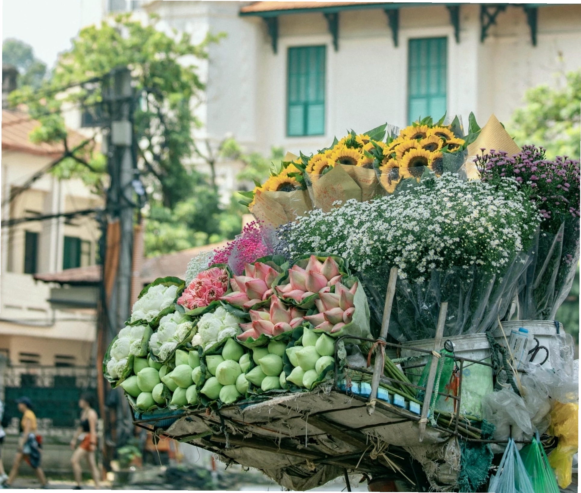 Gánh xe hoa Hà Nội được ưa chuộng