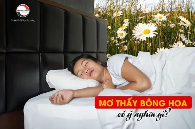 Giải Mã Giấc Mơ Thấy Hoa Ý Nghĩa Sâu Sắc Theo Từng Trường Hợp