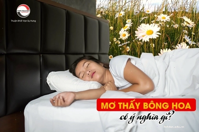 Giải mã ý nghĩa giấc mơ thấy hoa đa dạng