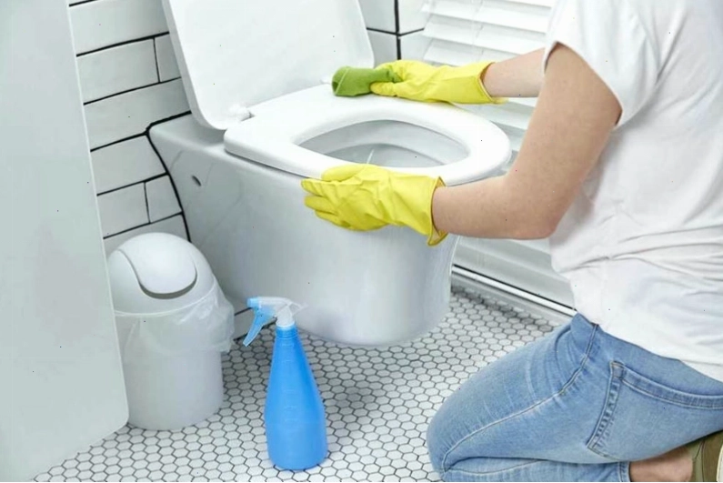 Giữ vệ sinh cá nhân và vệ sinh nhà cửa sạch sẽ