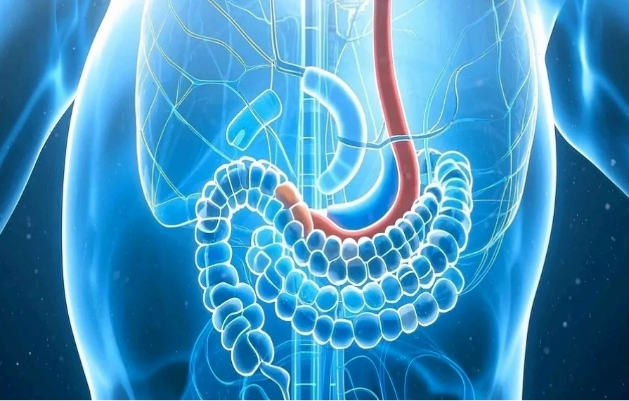 Hệ tiêu hóa suy yếu bất thường có thể liên quan đến ung thư