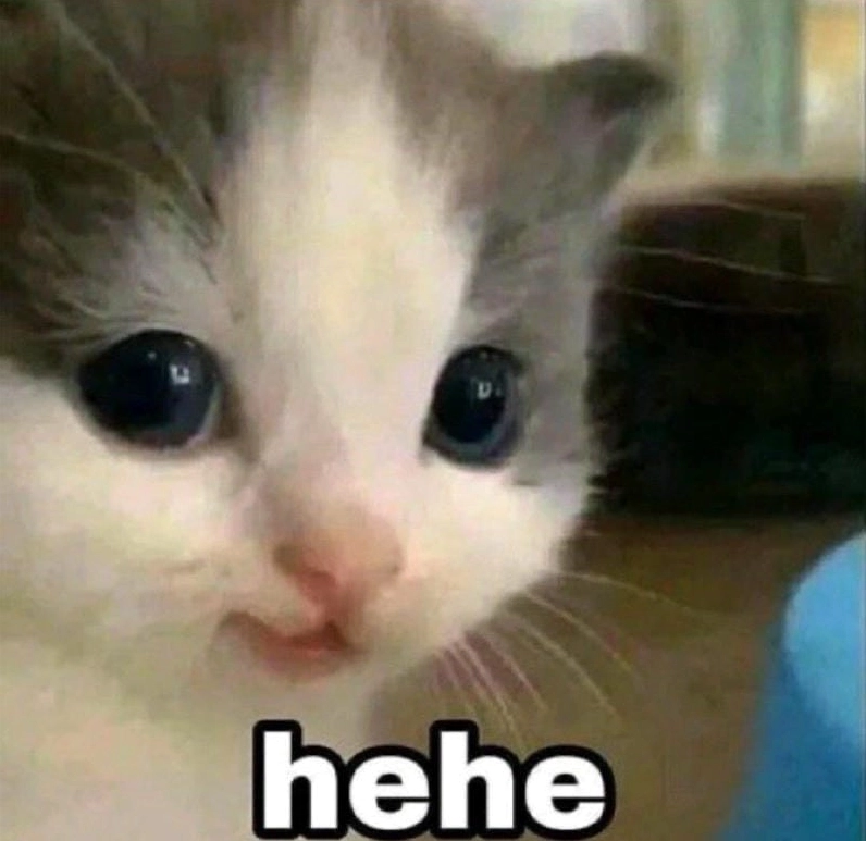 Hehe Meme: Khám phá nguồn gốc và bộ sưu tập ảnh chế hot nhất 2026