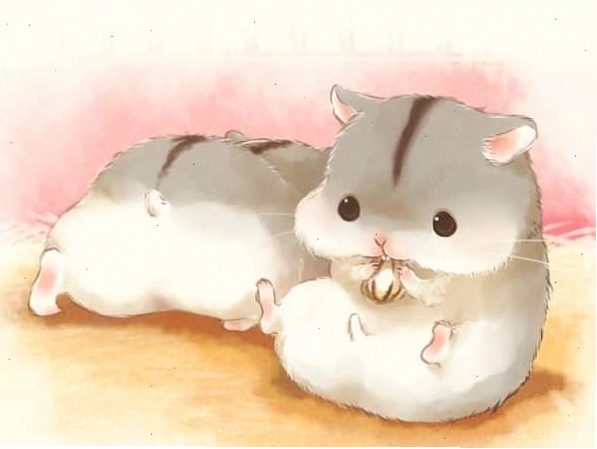 Hình ảnh chú chuột hamster chibi dễ thương trong trang phục nhỏ nhắn