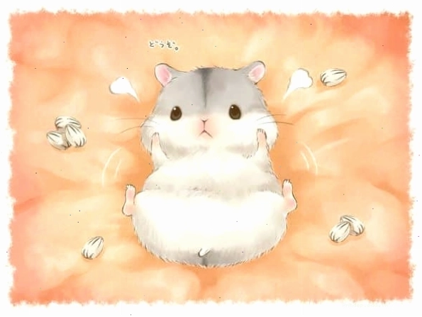 Hình ảnh chuột hamster chibi cute nhất với biểu cảm đáng yêu