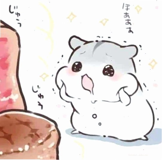Hình ảnh chuột hamster chibi đáng yêu trong tư thế ngộ nghĩnh