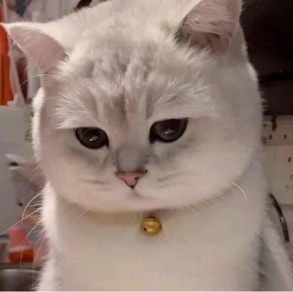 Hình ảnh dỗi meme với biểu cảm hài hước