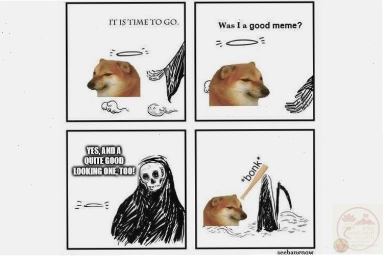 Hình ảnh động vật meme với các biểu cảm độc đáo