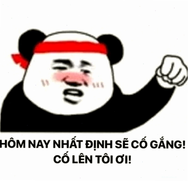 Hình ảnh gấu trúc trong meme cố lên
