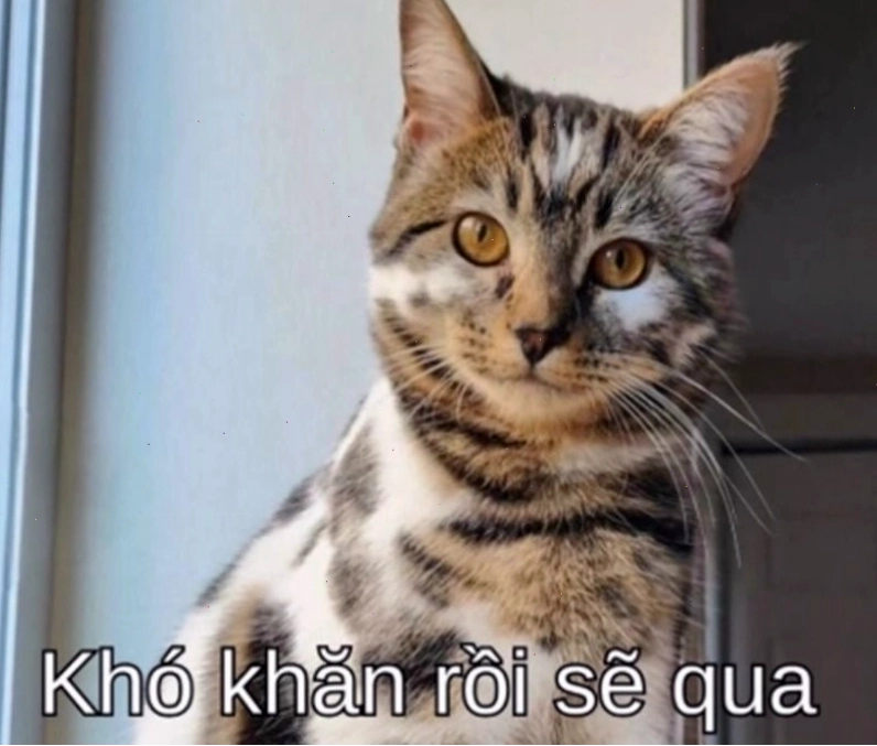 Hình ảnh meme cố lên dễ thương