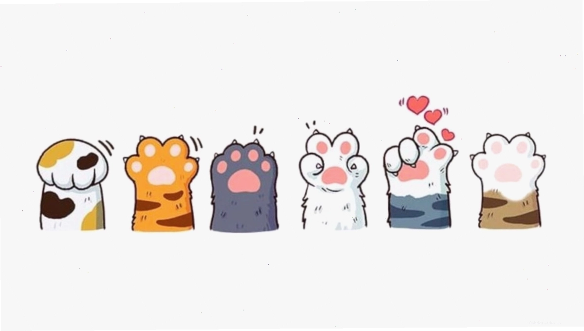 Hình ảnh mèo chibi thể hiện các hành động vui nhộn