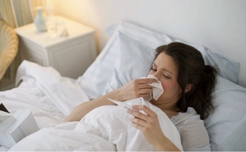 Hình ảnh minh họa muỗi Anophen cái, tác nhân chính lây truyền bệnh