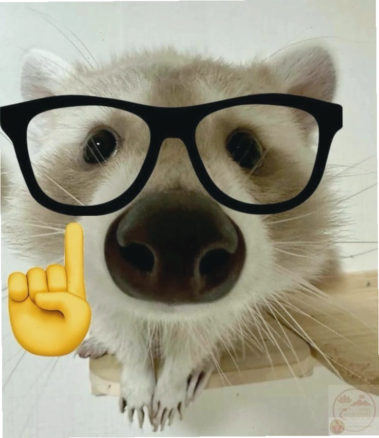 Hình chế nerd thường gắn vào các tình huống tréo ngoe để tăng tính châm biếm