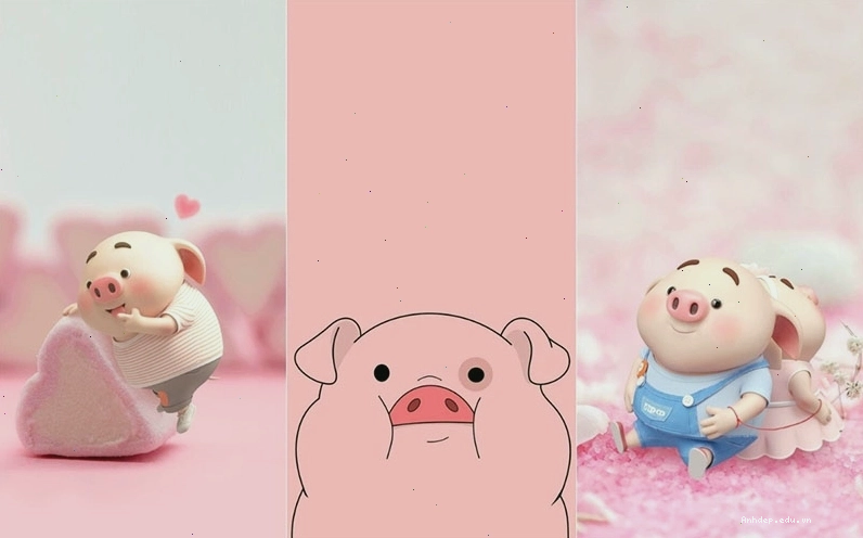 Hình nền con heo hồng cute với đôi má phúng phính