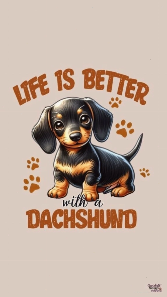 Hình nền cute chú chó với biểu cảm đáng yêu cho điện thoại