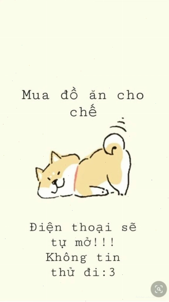Hình nền đáng yêu chú gấu trúc đang ôm cành tre