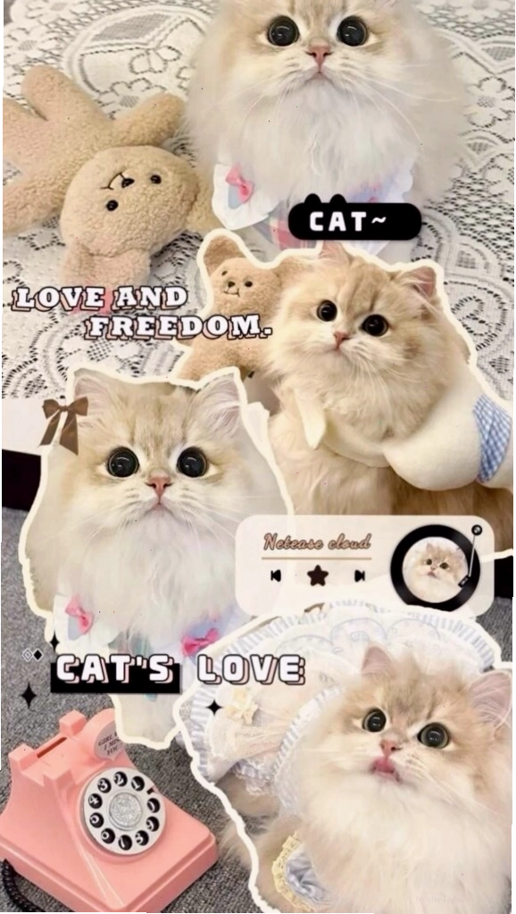 Hình nền điện thoại chibi nữ đang đọc sách