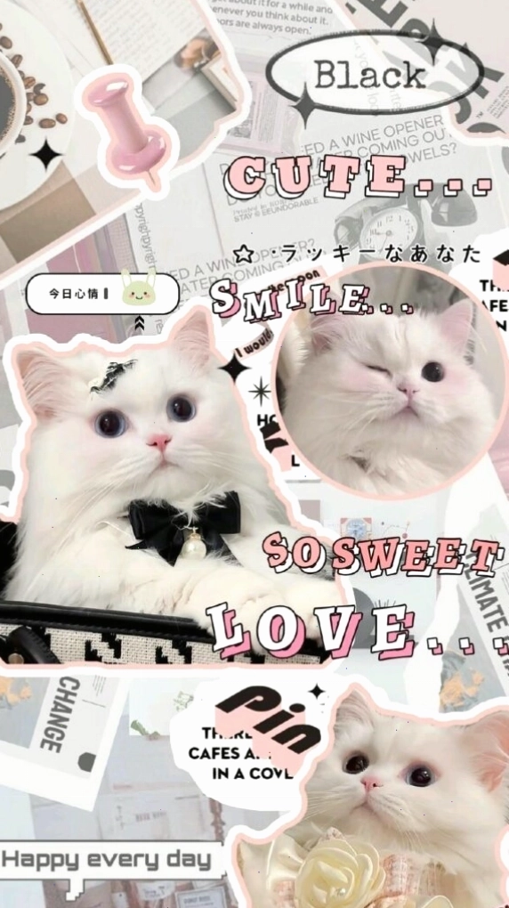 Hình nền điện thoại cute với chữ viết tay