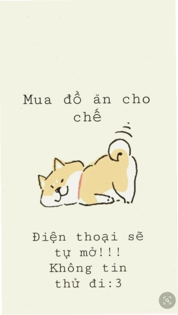 Hình nền điện thoại với chú mèo nhỏ tinh nghịch