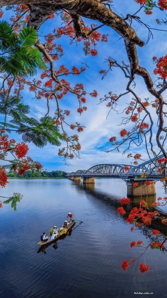 Hình nền hiện đại với cành hoa đỏ bên mặt hồ sông Hương tĩnh lặng