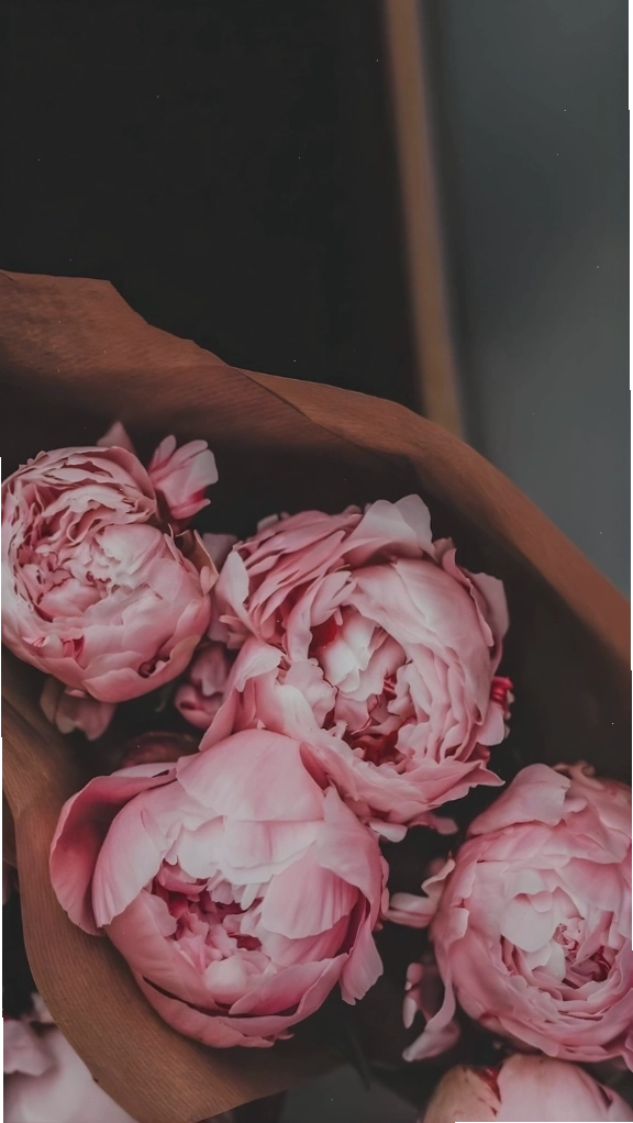 Hình nền hoa mẫu đơn hồng màu vintage, cổ điển và lãng mạn