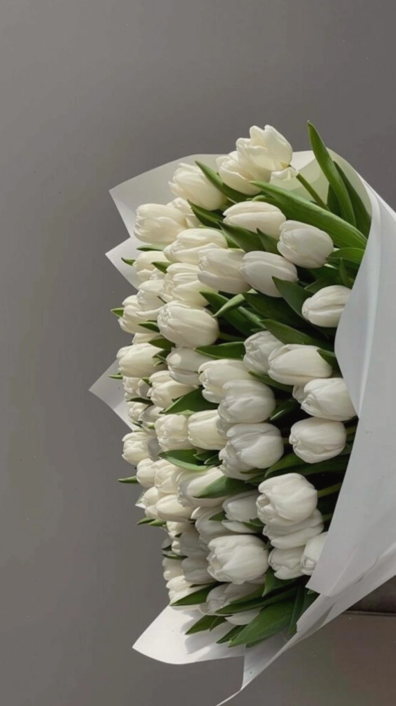 Hình nền hoa tulip xanh tạo cảm giác dịu mát