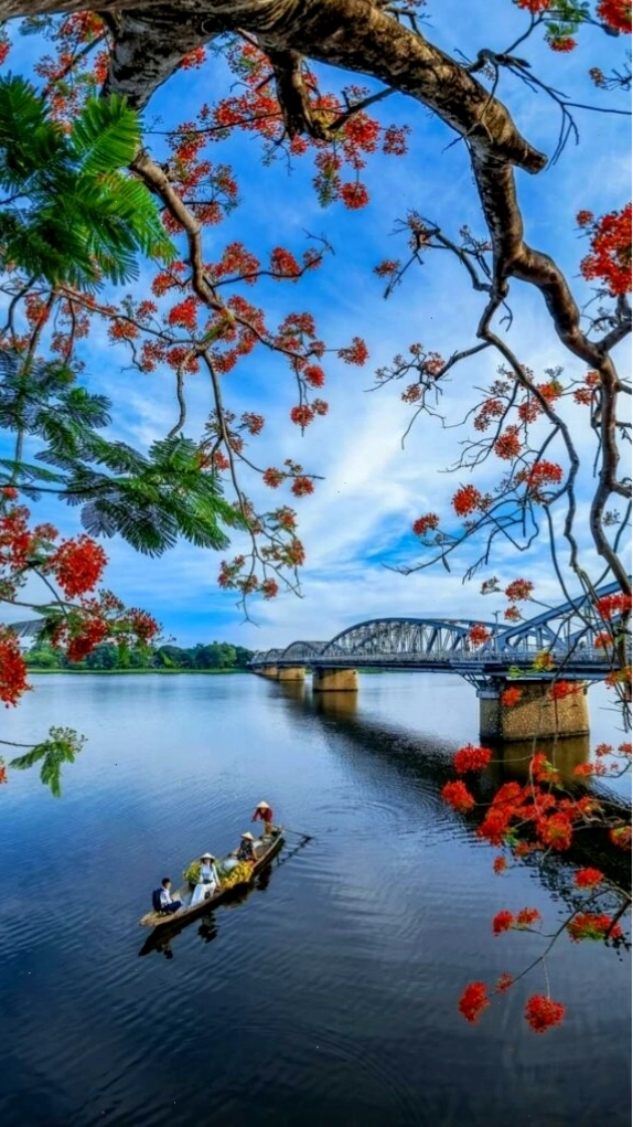 Hình nền máy tính 4k cành hoa đỏ bên mặt hồ sông Hương tĩnh lặng