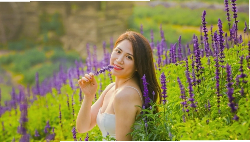 Hoa nữ hoàng xanh khoe sắc rực rỡ bên cạnh thiếu nữ