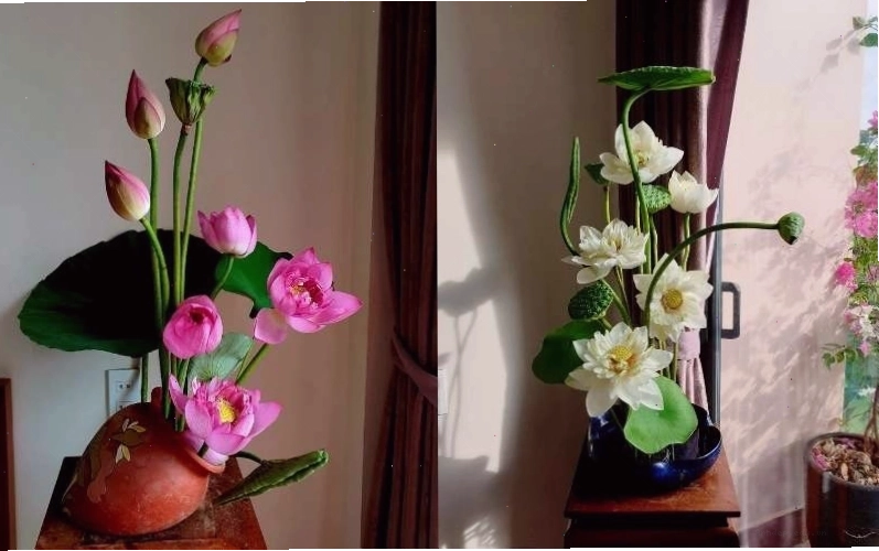 Hoa sen được cắm theo phong Ikebana Nhật Bản có bố cục bất đối xứng, nhưng lại hài hòa với thiên nhiên.