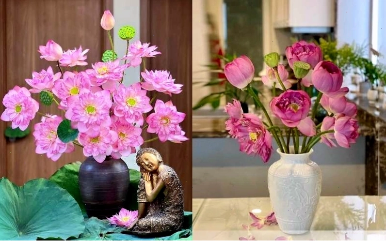 Hoa sen được cắm trong bình gốm tròn tạo cảm giác sang trọng phù hợp cho không gian phòng khách hoặc bàn thờ.