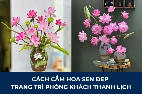 Hướng dẫn chi tiết cách cắm hoa sen đẹp và ý nghĩa theo phong thủy