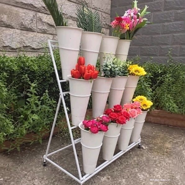 Kệ treo tường trưng bày hoa tươi