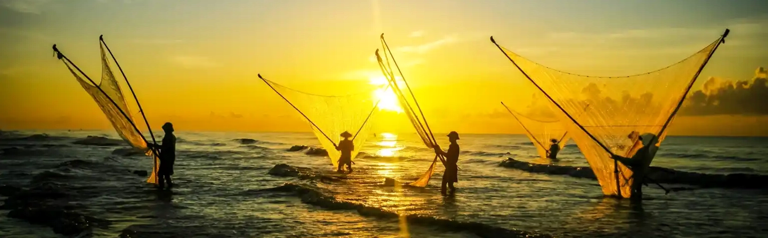 Khám phá Biển Hải Thịnh Nam Định - Điểm đến yên bình và quyến rũ