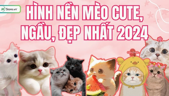 Khám phá bộ sưu tập ảnh mèo cute anime: Tải ngay hình nền độc đáo